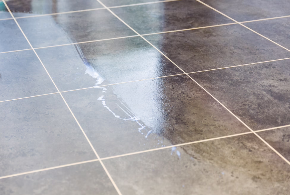Nahaufnahme eines nassen, dunkelgrauen Plattenbodens mit weißen Fugen; ein schmaler Wasserstreifen und eine leichte Lichtreflexion sind über mehrere Platten sichtbar.